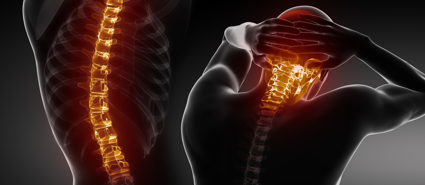 spine & neck x-rays