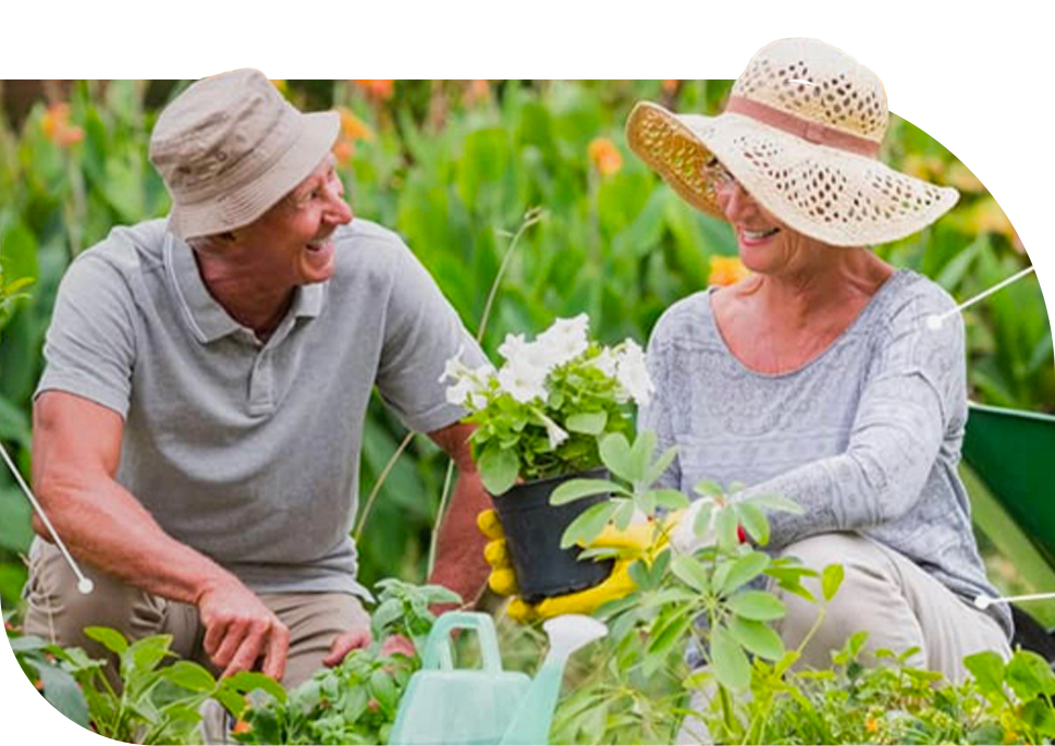 Online Guide to Joint Replacement