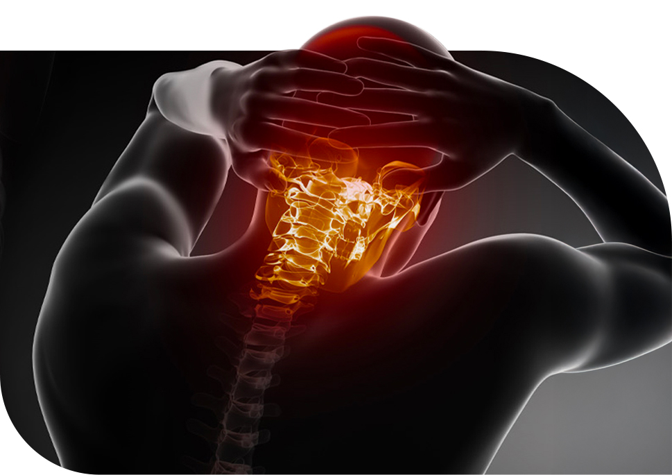 Online Guide to Back, Neck and Spine Care